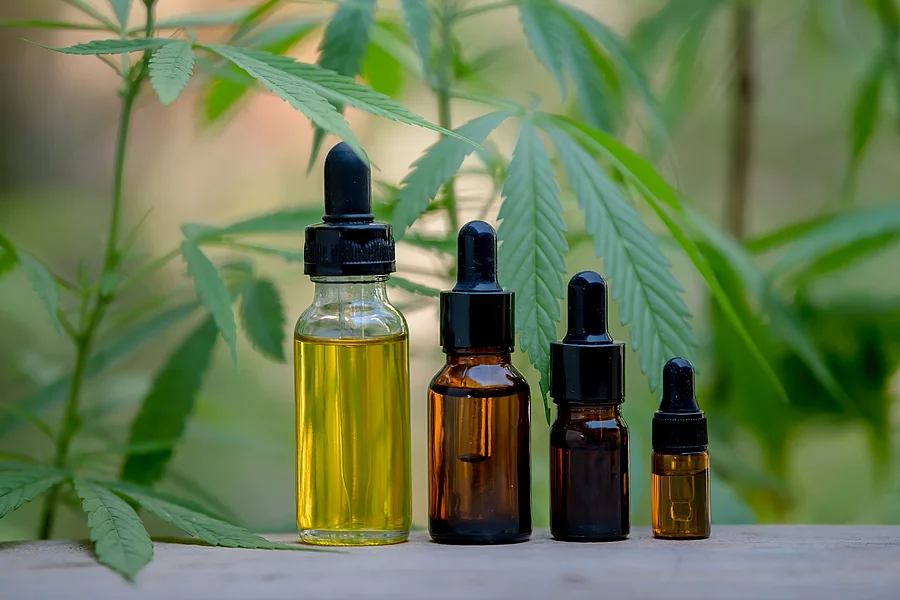 Vier Ampullen mit CBD vor Hanfpflanzen.