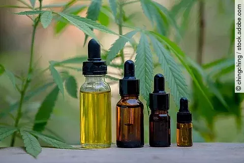 Vier Ampullen mit CBD vor Hanfpflanzen. 