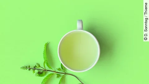 Pfefferminztee in einer Tasse, daneben ein Zweig frische Pfefferminze