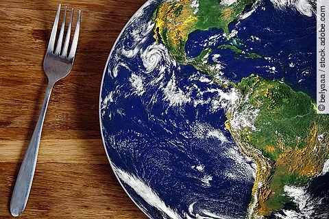 Teller mit Erdkugel-Motiv. Rechts daneben liegt eine Gabel.