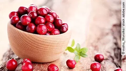 cranberries Cranberries in Holzschüssel