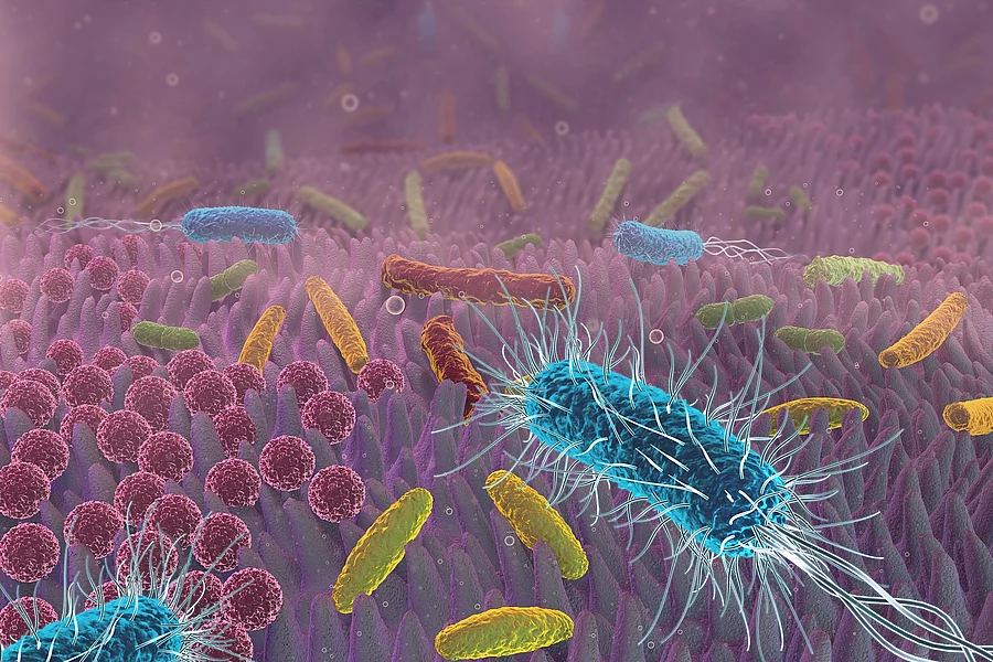 Illustration: Darmmikrobiom, verschiedenförmige Bakterien in bunten Farben