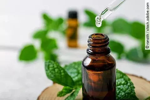 Braunfläschchen mit Pfefferminzöl und frische Minze auf Holztisch