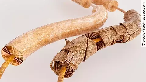 Symbolbild GBS Syndrom - gesund und krank.