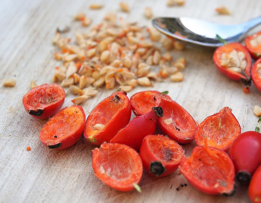 aufgeschnittene Hagebutten und Kerne auf Holztisch