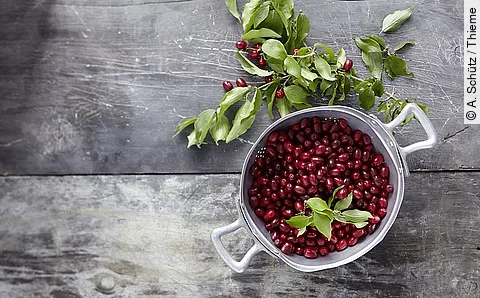 Kornelkirschen in einer Schüssel auf einem großen Tisch, von oben fotografiert