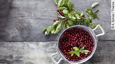 Kornelkirschen in einer Schüssel auf einem großen Tisch, von oben fotografiert