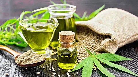 Hanföl, Hanfmehl, Hanfsamen und Hanfblatt auf Holzuntergrund