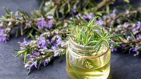 Rosmarin Öl Gefäß dekoriert mit Pflanze und Blüte.