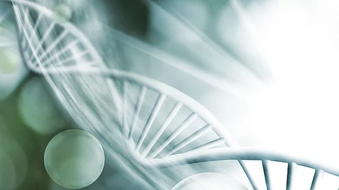Illustration der DNA-Struktur