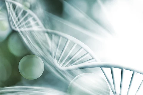 Illustration der DNA-Struktur 
