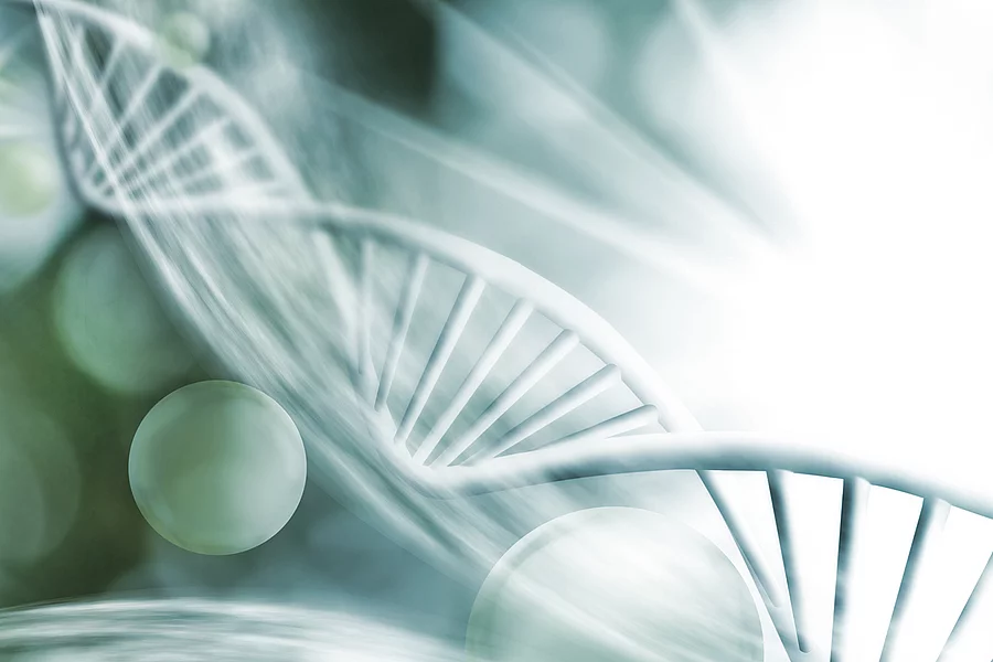 Illustration der DNA-Struktur 