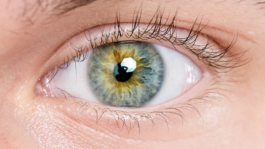 Makroaufnahme eines Auges