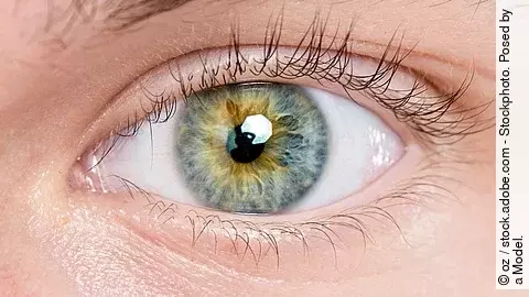 Makroaufnahme eines Auges