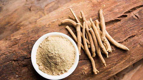 Ashwagandha: Wurzeln und Wurzelpulver