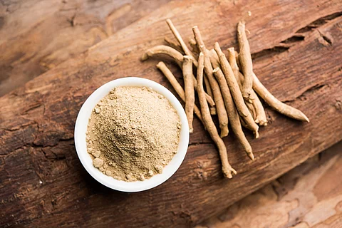 Ashwagandha: Wurzeln und Wurzelpulver