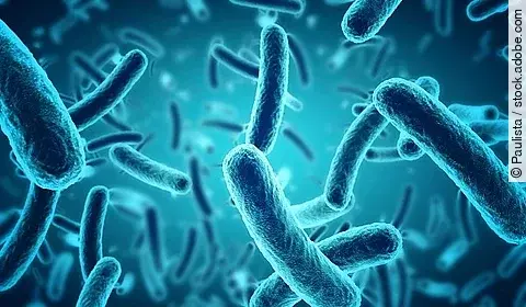 Illustration einer Nahaufnahme in blauer Farbe, die Bakterien zeigt.