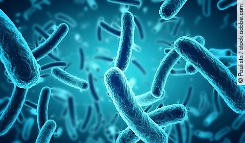 Illustration einer Nahaufnahme in blauer Farbe, die Bakterien zeigt.