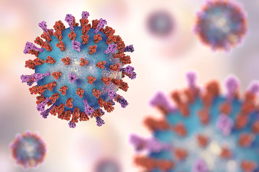Darstellung mehrerer Viruspartikel in blau mit roten und lilafarbenen Oberflächenproteinen