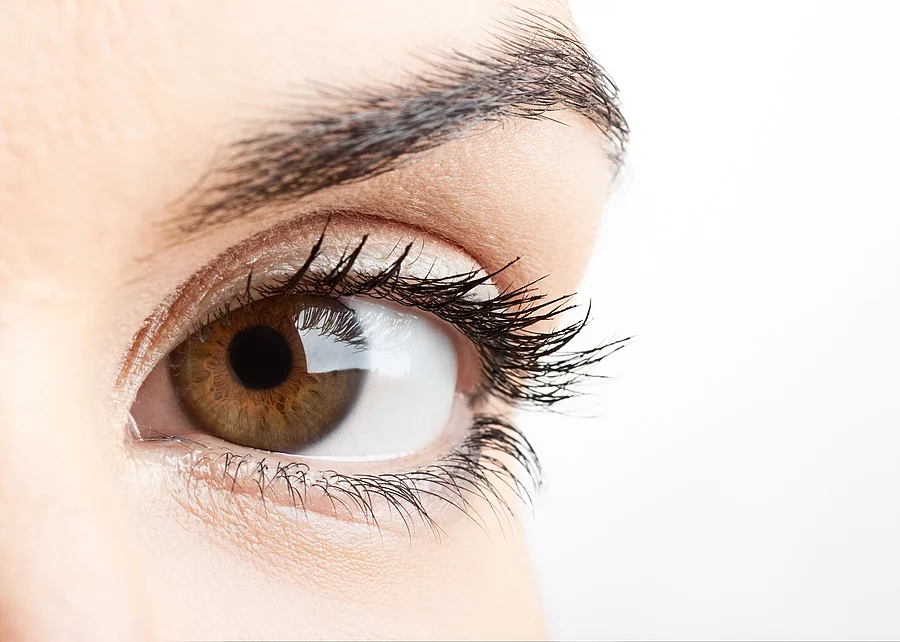Auge einer Frau Auge einer Frau