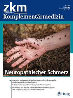 Zeitschriftencover: zkm 6/2025