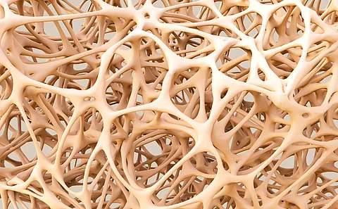 3D-Illustration des Fettgewebes. 
