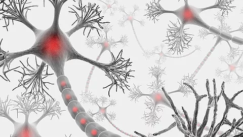 Neuron, Nervenzelle, medizinische Illustration