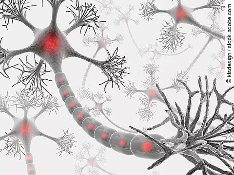 Neuron, Nervenzelle, medizinische Illustration