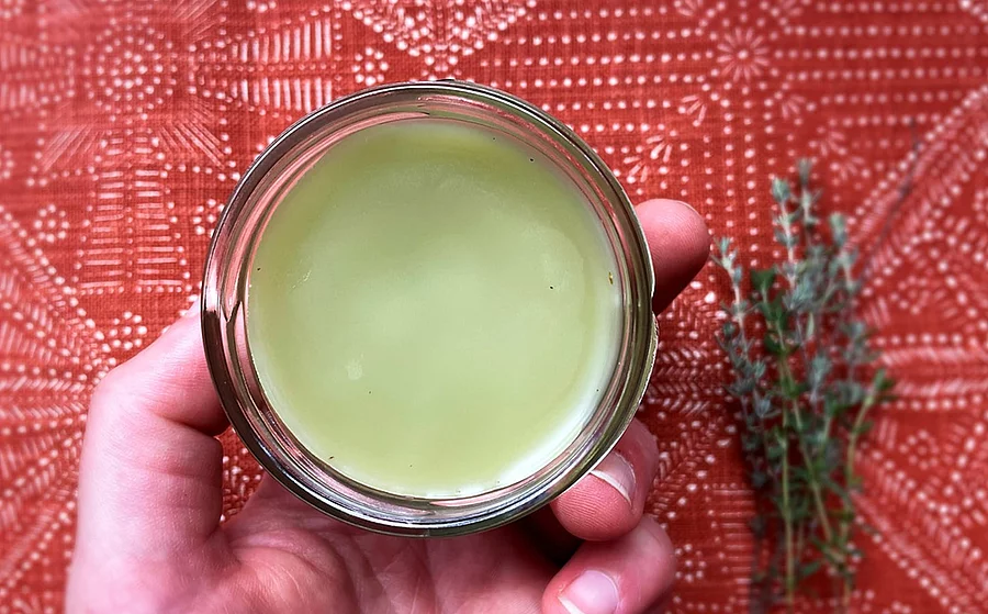 Selbstgemachte Salbe aus Thymian in einem Tiegel