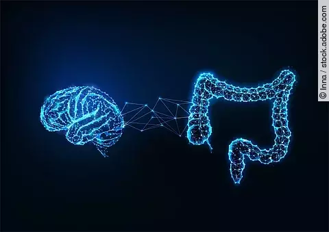 Darm-Hirn-Achse, Gehirn und Darm verbunden durch Synapsen; Illustration