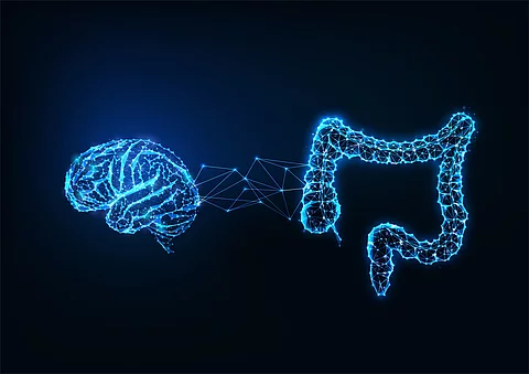 Darm-Hirn-Achse, Gehirn und Darm verbunden durch Synapsen; Illustration