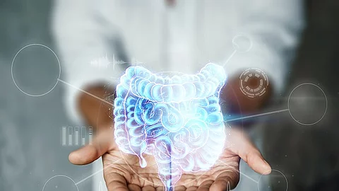 Ein Doktor hält einen holographischen Darm in den Händen.