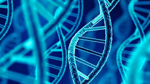 DNA Molekül