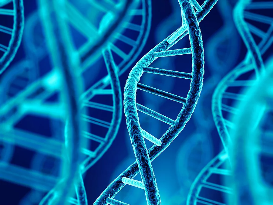 DNA Molekül