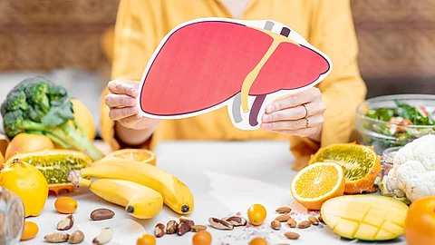 Modell einer Leber aus Pappe in den Händen eine Frau am Tisch sitzend. Daneben liegen Obst und Gemüse.