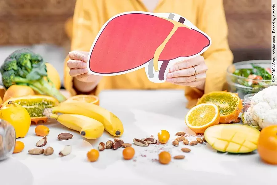 Modell einer Leber aus Pappe in den Händen eine Frau am Tisch sitzend. Daneben liegen Obst und Gemüse.
