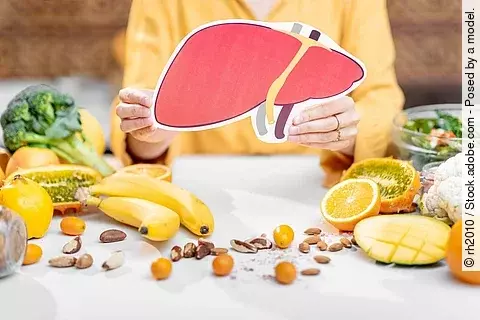 Modell einer Leber aus Pappe in den Händen eine Frau am Tisch sitzend. Daneben liegen Obst und Gemüse.