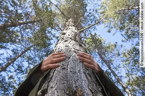 Eine Frau, die einen Baum umarmt.