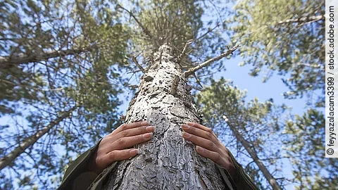 Eine Frau, die einen Baum umarmt.