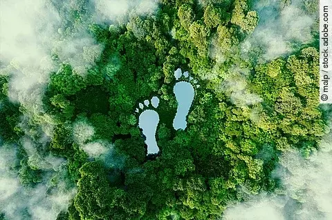 Vogelperspektive auf zwei Seen in Form von Fußabdrücken in einem Wald.