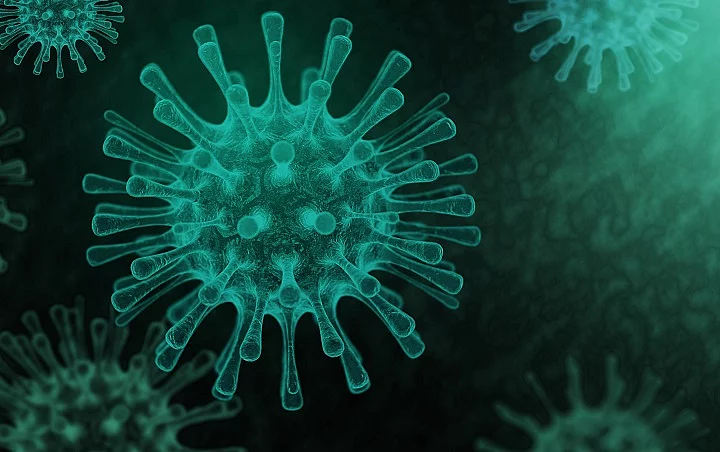 3D Rendering dark virus,  The infection in host organism viral d