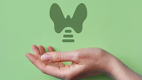Eine Hand unter einer Illustration einer Schilddrüse