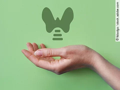 Eine Hand unter einer Illustration einer Schilddrüse