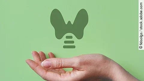 Eine Hand unter einer Illustration einer Schilddrüse