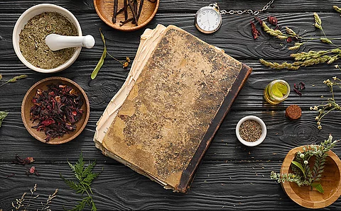 Verschiedene Kräuter und Pflanzen, in der Mitte ein Buch