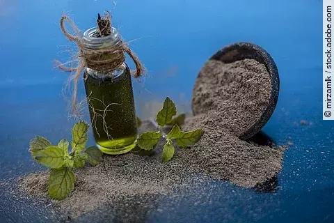 Ayurveda, Brahmi, Bacopa