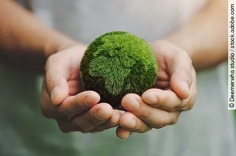 Hände halten eine grüne Erdkugel