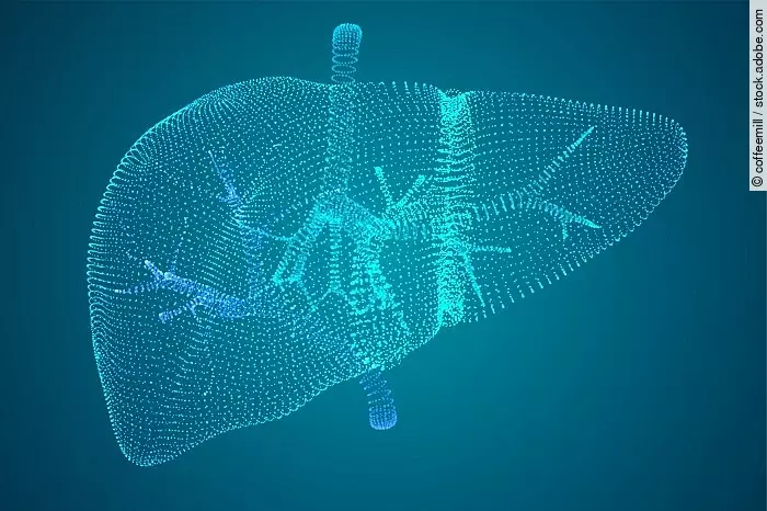 Leber, Vektorgrafik auf blauem Hintergrund