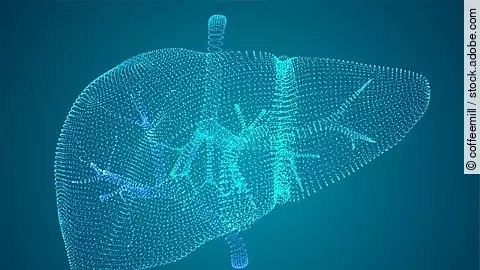 Leber, Vektorgrafik auf blauem Hintergrund