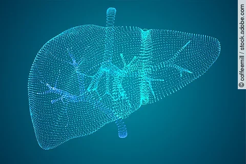 Leber, Vektorgrafik auf blauem Hintergrund
